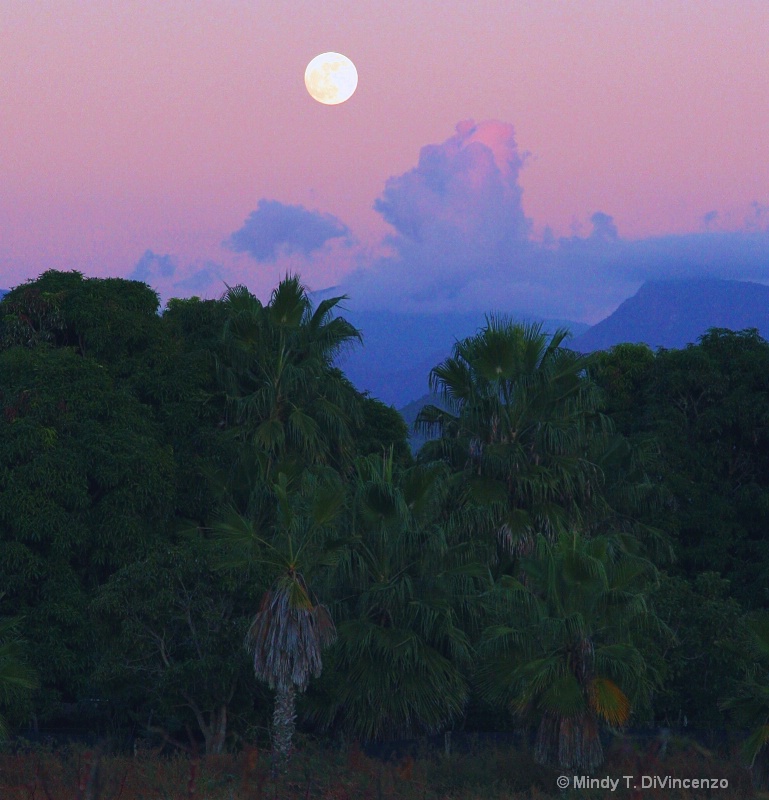 Full Moon Rising Over Pescadero 2