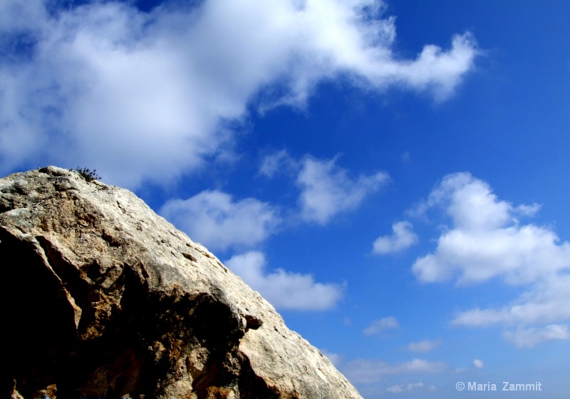 Hope... looking up!