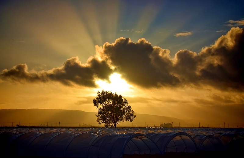 Santa Maria Sunset December 26, 2012