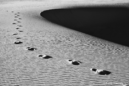 Footprints at White Sands