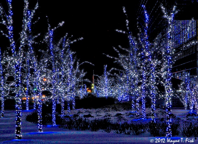 A Joyful Blue Christmas