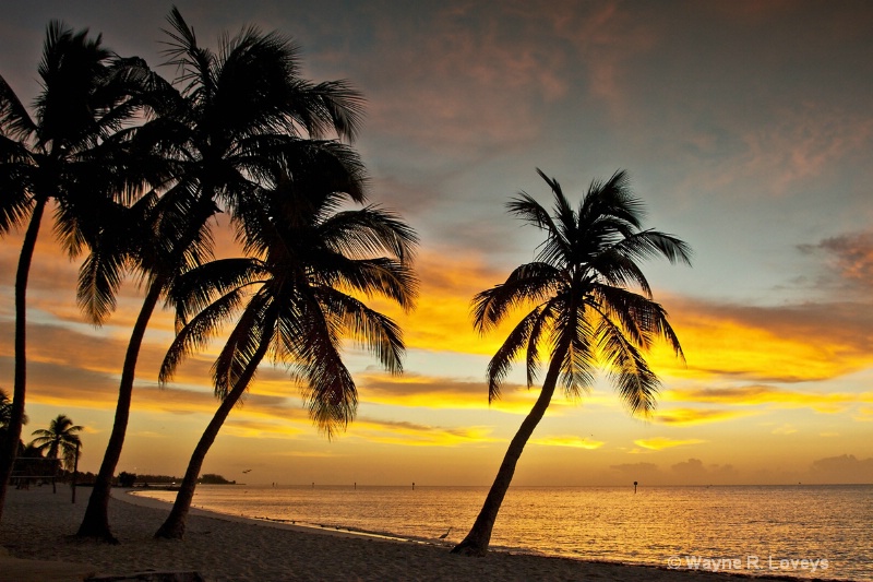 Sunrise in Key West 