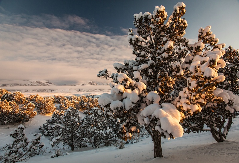 Snowy Sunset