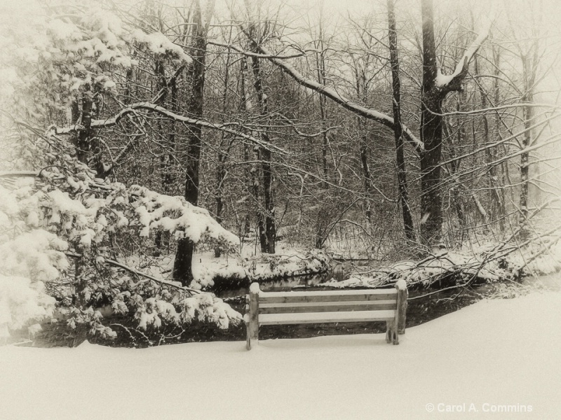 Lonely Winter Bench