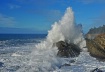 Winter Wave