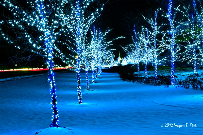 Blue Snow 