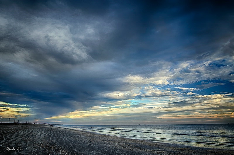 Another from the Louisiana Coast