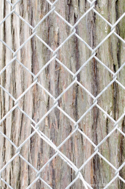 fenced bark