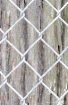 Fenced Bark