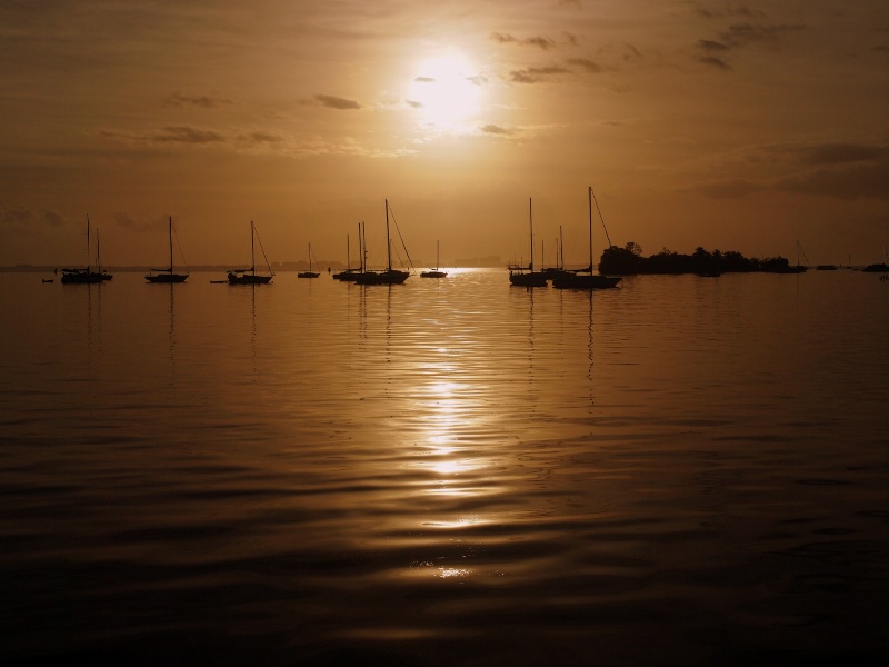 Sunrise of Coconut Grove, FL