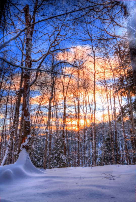 Wooded Sunset HDR