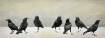 Seven Crows of Sa...