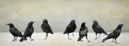 Seven Crows of San Simeon