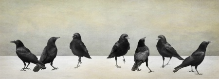 Seven Crows of San Simeon