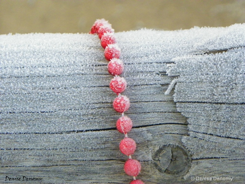 FROST ON BEADS AND WOOD