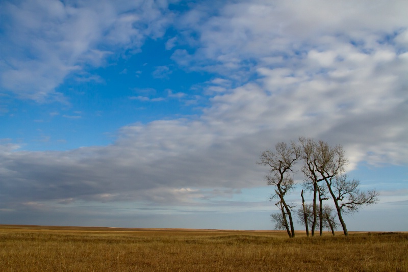 Tall Grass Prairie, Oklahoma