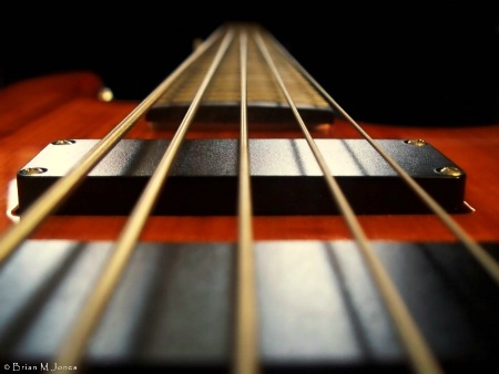 5 String Bass