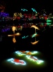 Holiday Lights