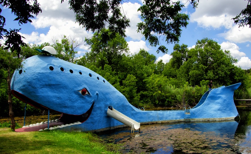 The Blue Whale - ID: 13632287 © JudyAnn Rector