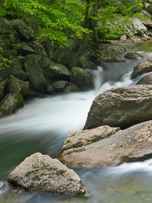 Little River - ID: 13632475 © Philip B. Ludwig