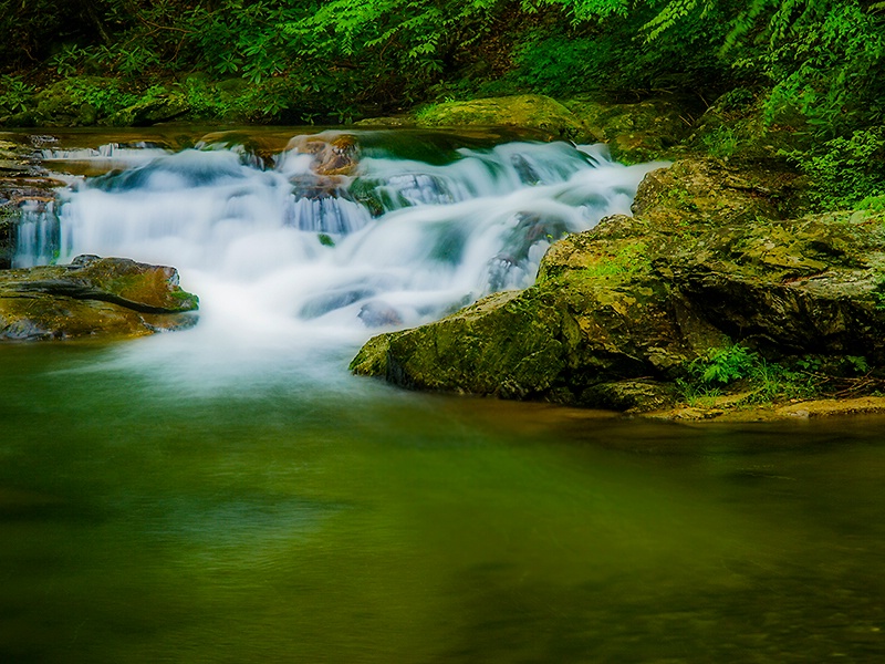 Cascades on Laurel Creek - ID: 13632476 © Philip B. Ludwig
