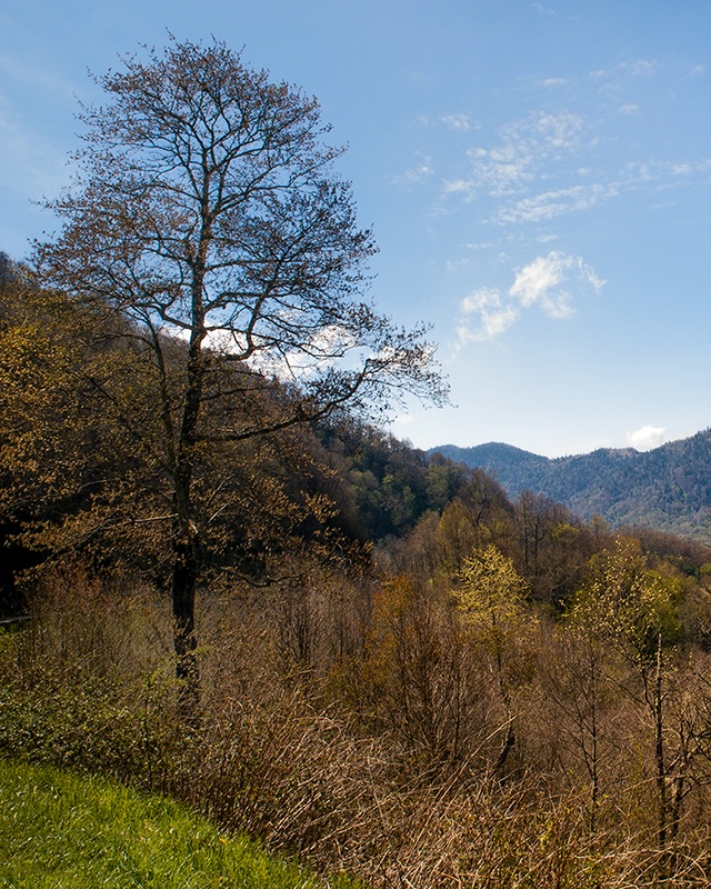 Mountainside View - ID: 13632479 © Philip B. Ludwig