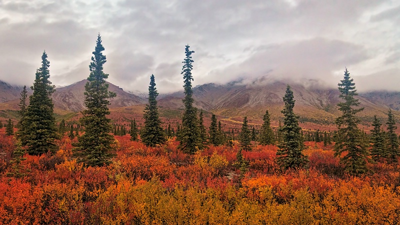 Alaskan Autumn