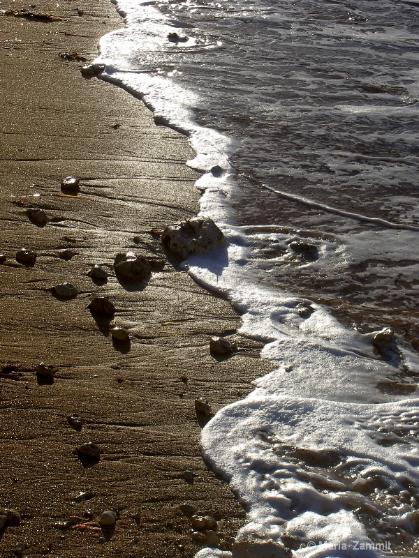 Sun, sand and Sea!