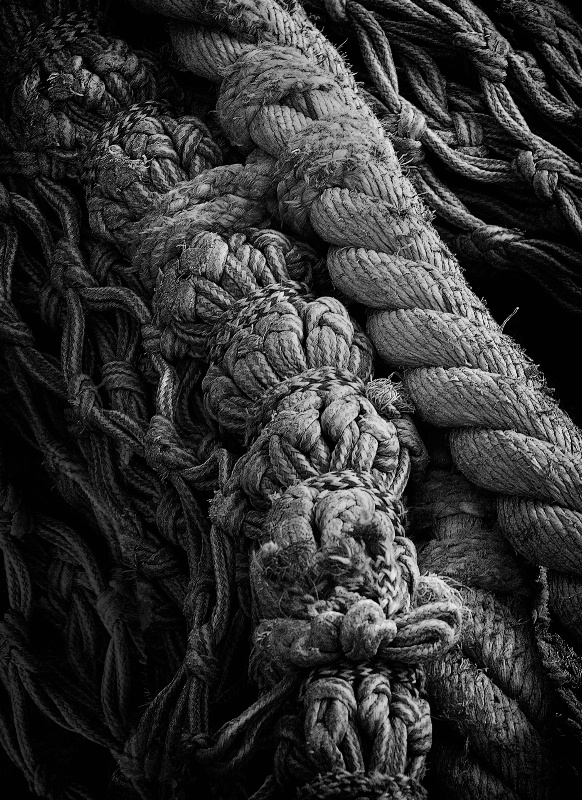 Fishing Ropes - ID: 13633527 © BARBARA TURNER