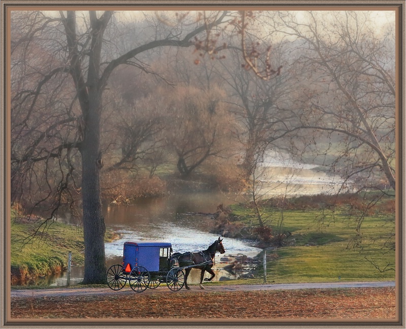 Amish Carriage - ID: 13633591 © BARBARA TURNER