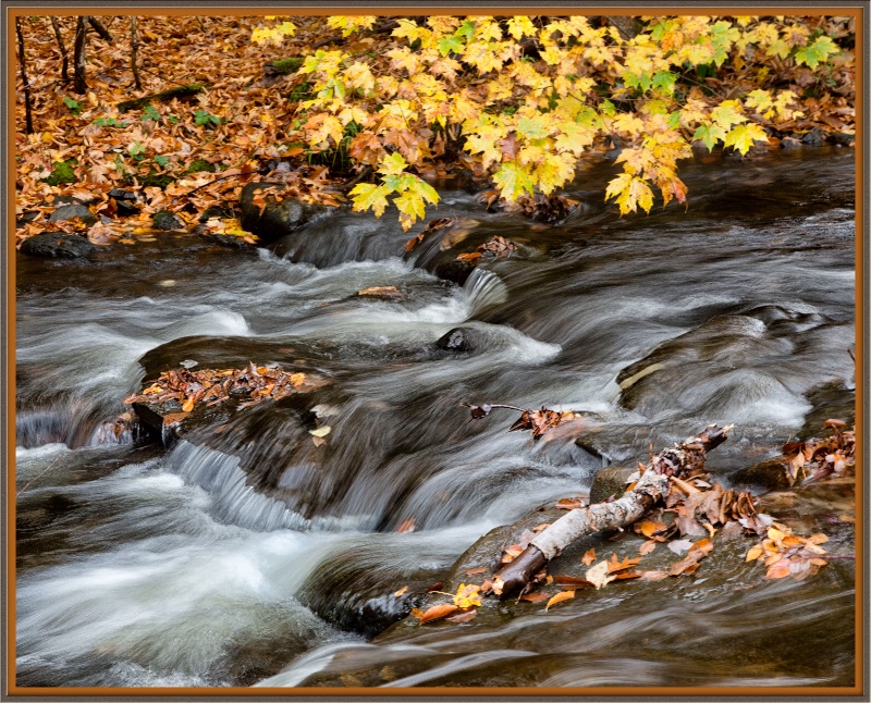 Fall Stream - ID: 13633595 © BARBARA TURNER