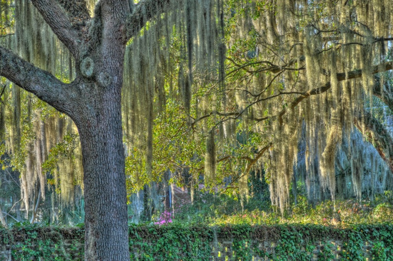 swr 5619 20 21 22 23 24 25 tonemapped - ID: 13633734 © Scott Ream