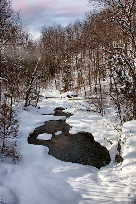 winter stream - ID: 13633736 © BARBARA TURNER