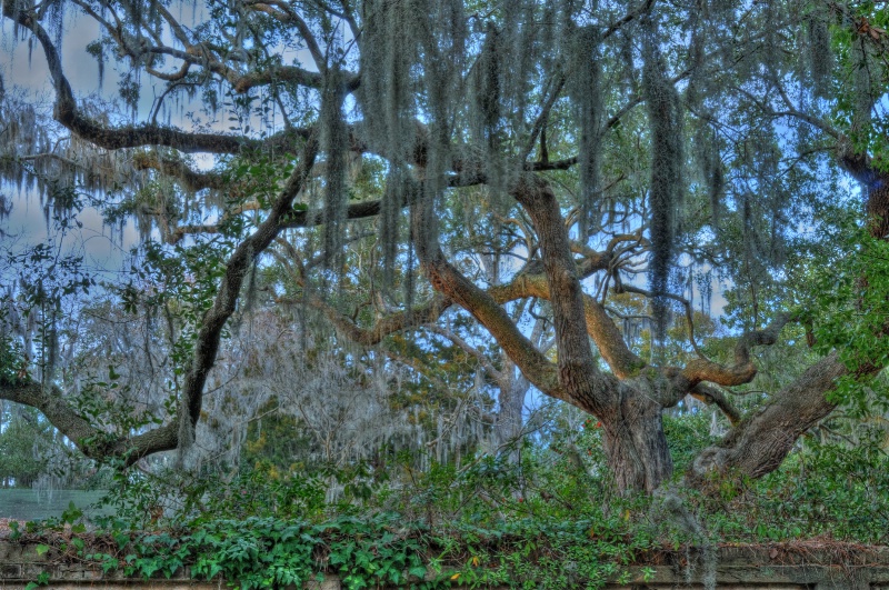 swr 5791 2 3 4 5 tonemapped - ID: 13633737 © Scott Ream