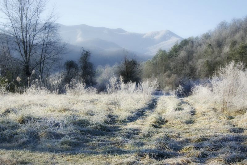 Frost at Greenbrier