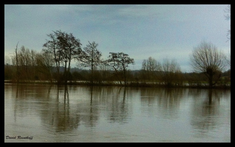 Flood, Trees and Sky