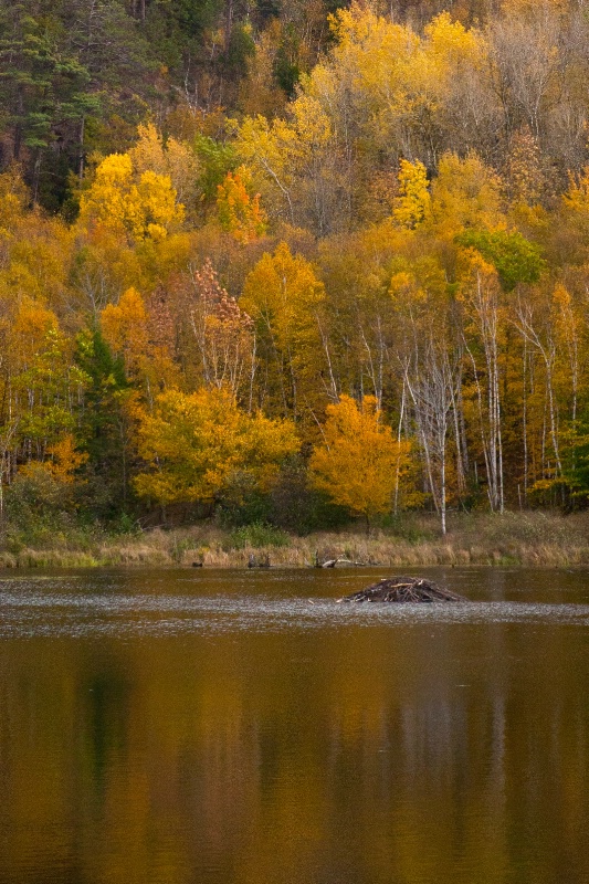 Beaver's Lodge on Jordan Pond
