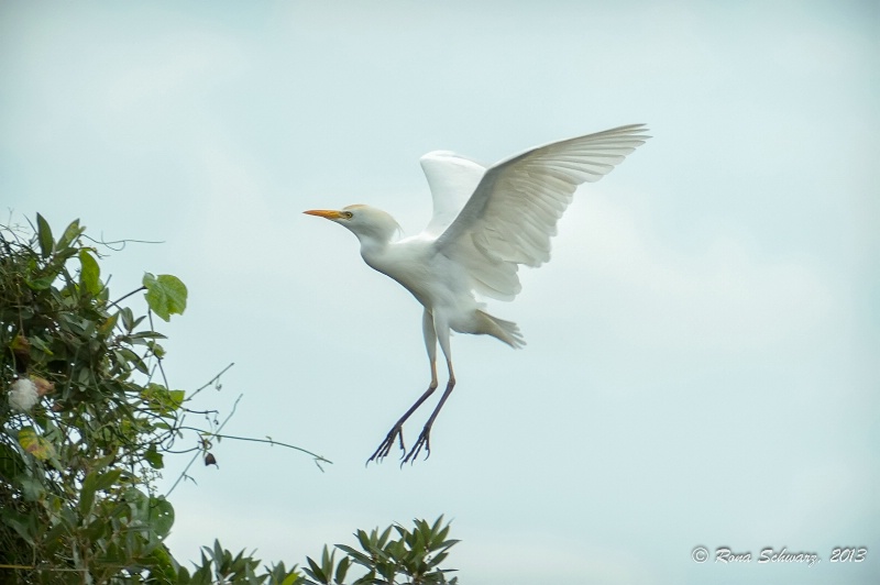 Landing