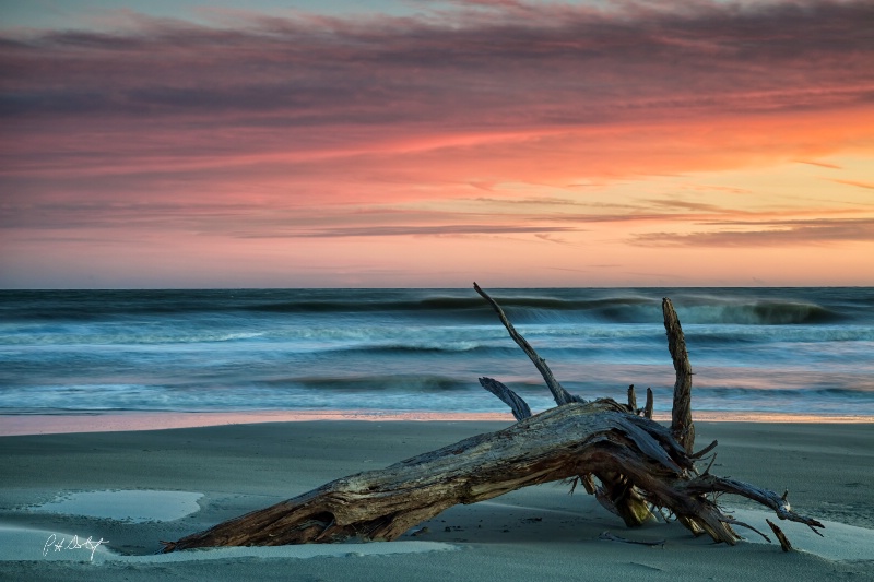 Battered Driftwood