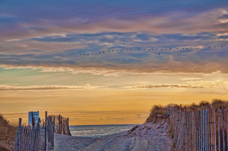 Sagg Main Beach in Winter