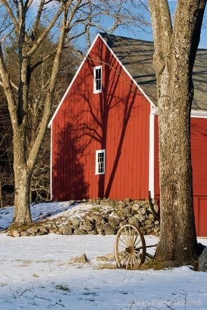 Trees on the Barn