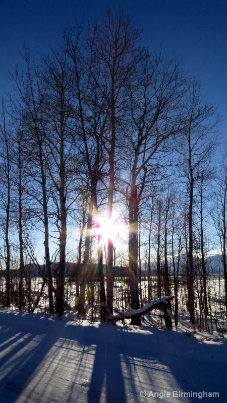 just before sunset at 3:51pm in Jackson WY.