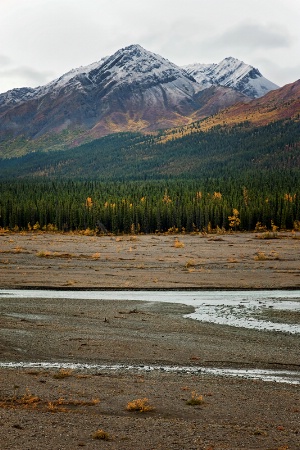 Alaskan Layers