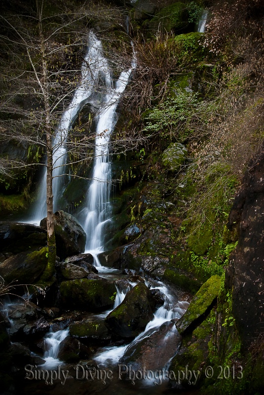 Devil's Falls in January ~ Colfax, CA