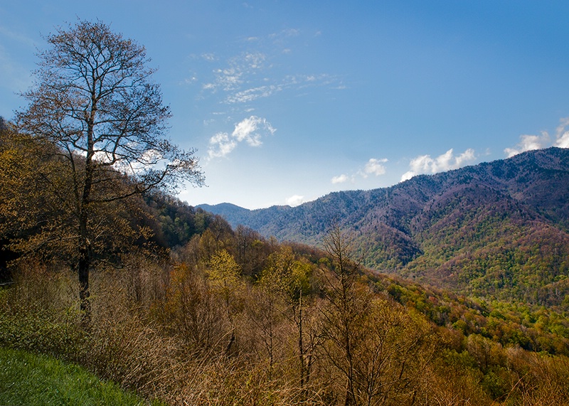 Mountainside View - ID: 13641740 © Philip B. Ludwig