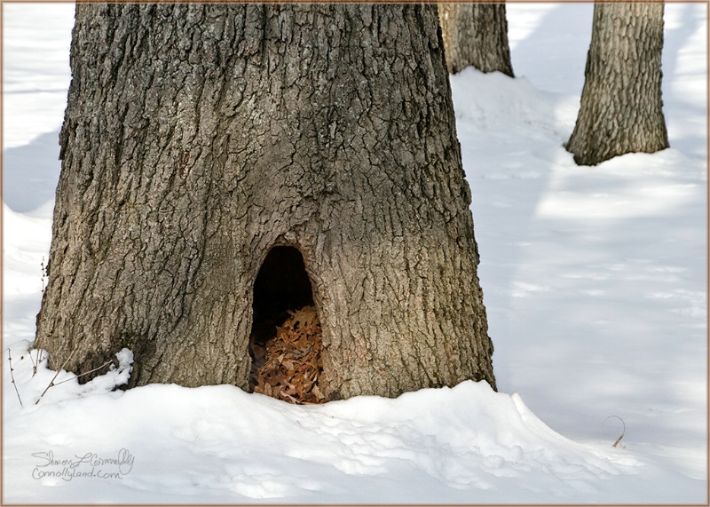 Well, who lives here?