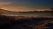 Misty morning