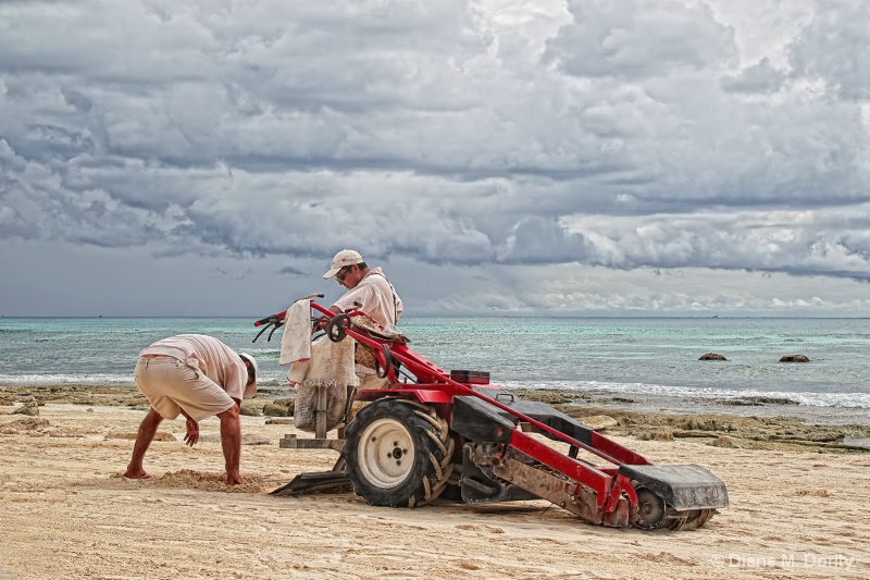 Grooming the beach