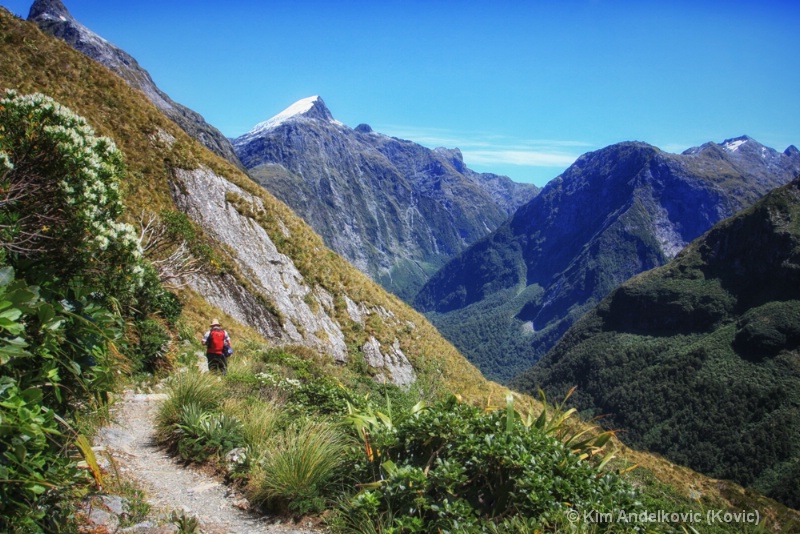 Milford Track - Going Down