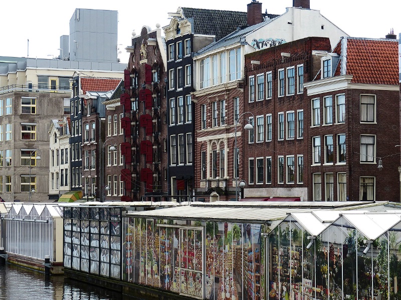 Flower Market Row Houses (Amsterdam) - ID: 13646790 © STEVEN B. GRUEBER